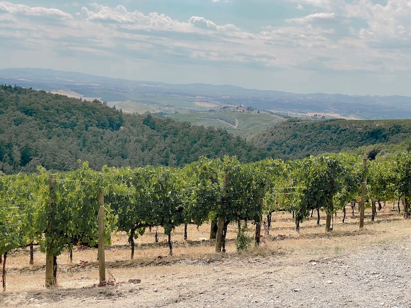 Chianti : Tout savoir sur la célèbre appellation de Toscane