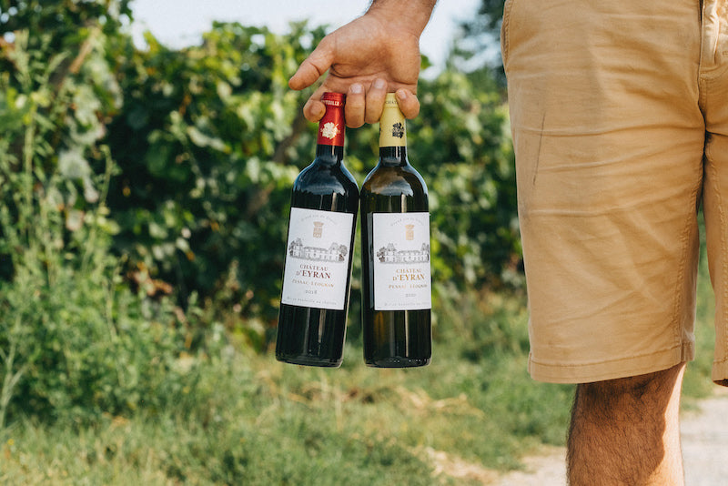 Leçon de vin : le millésime du vin
