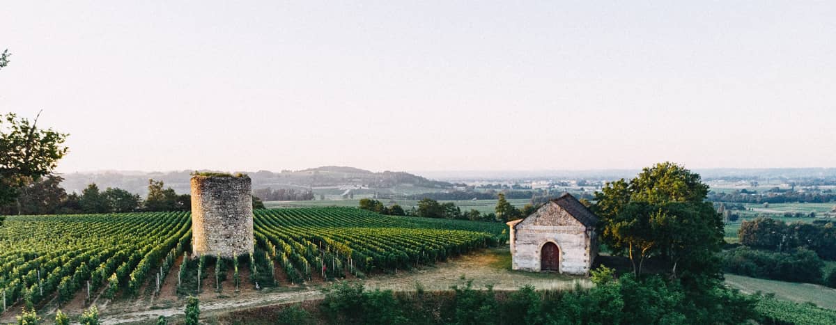 Abonnement vin : le concept innovant de Cuvée Privée