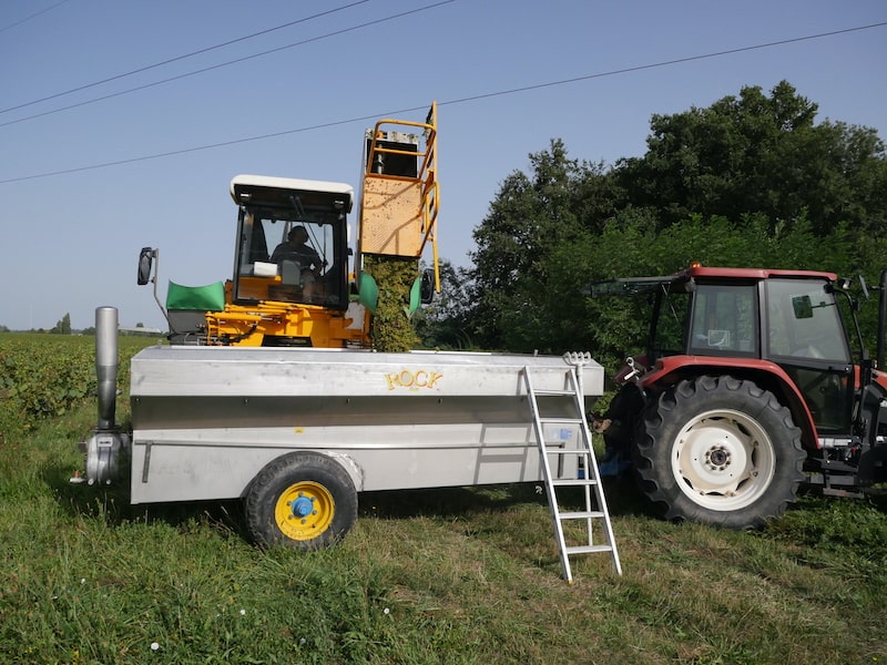 Tout savoir sur la machine à vendanger