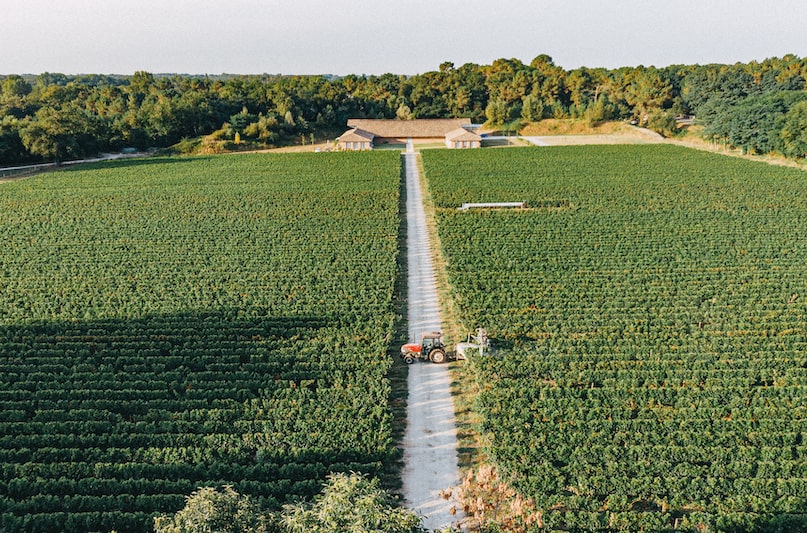 Tout savoir sur l'appellation Pessac-Léognan