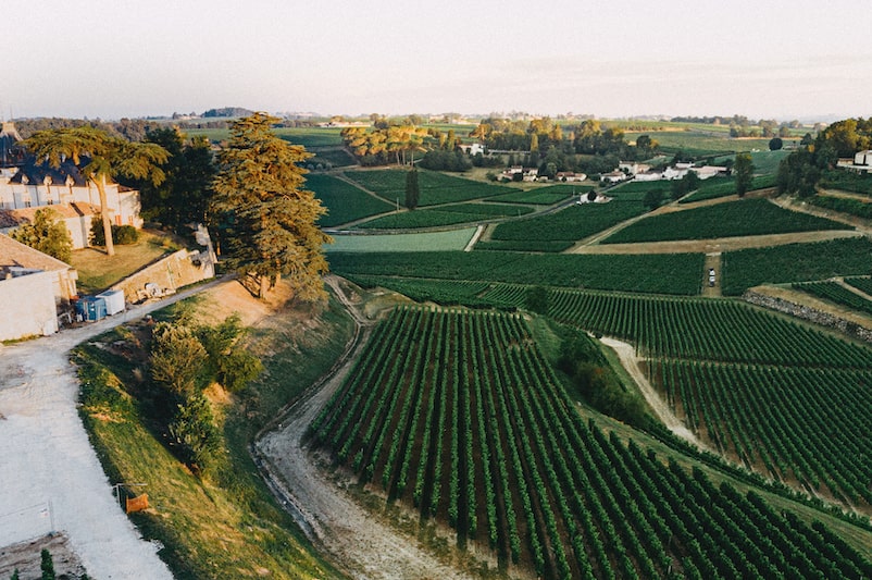 Tout savoir sur l'appellation Saint-Émilion
