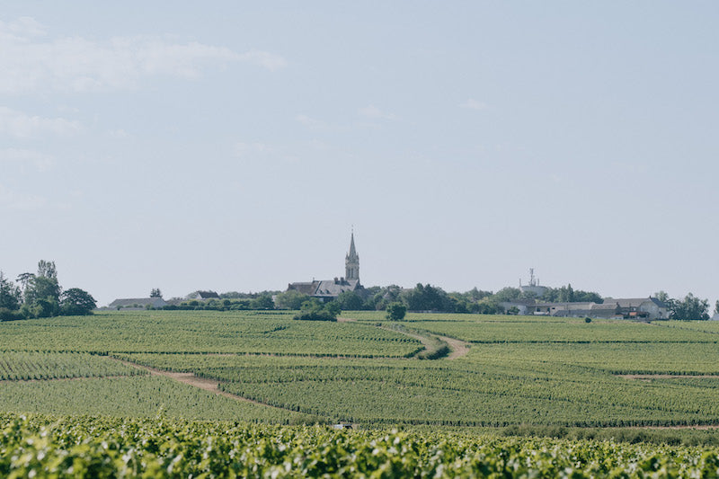 Tout savoir sur l'appellation Pouilly-Fumé
