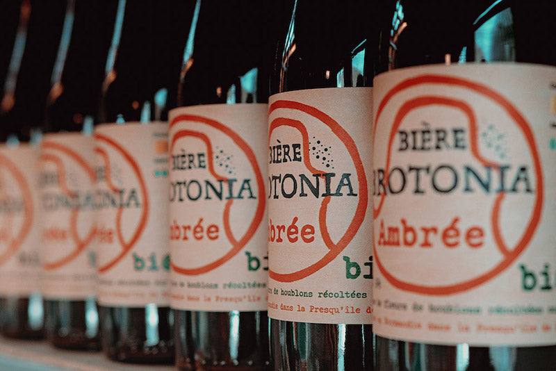 Comprendre les différentes catégories de bières