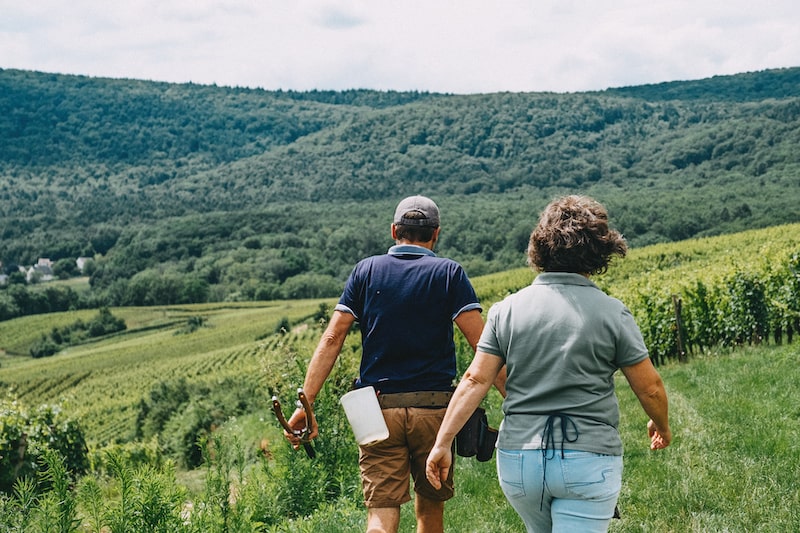Les méthodes de culture en biodynamie
