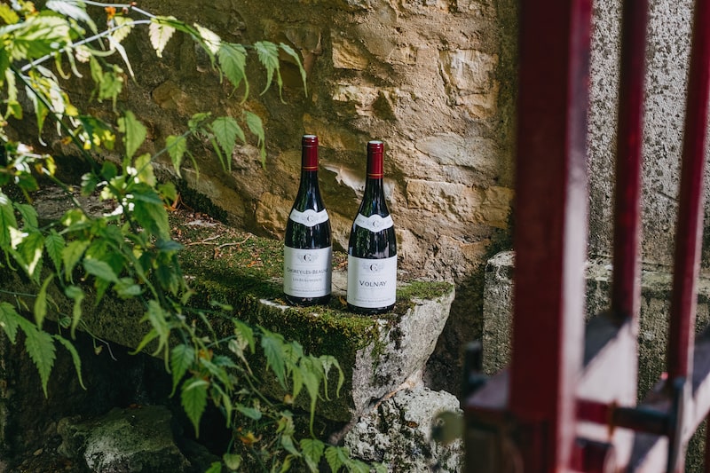 5 vins rouges à offrir en cadeau de Noël
