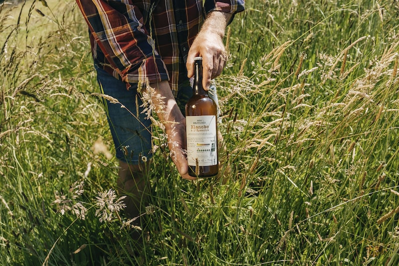 Comment fabrique-t-on la bière ?