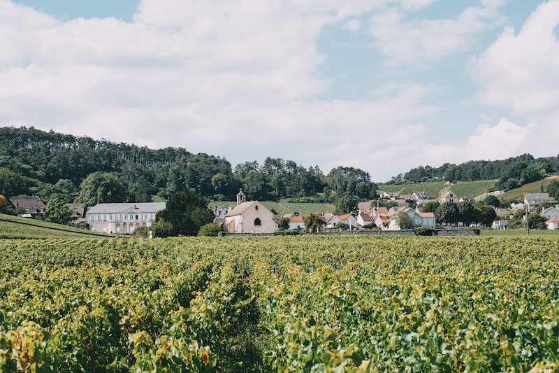 Chablis, Beaujolais : la Bourgogne, objet de toutes les convoitises