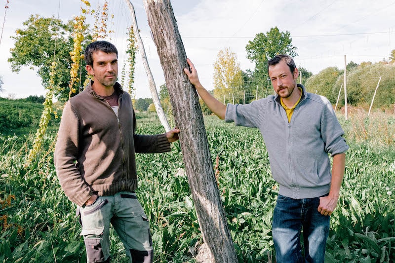 Consommer des bières biologiques : un choix responsable