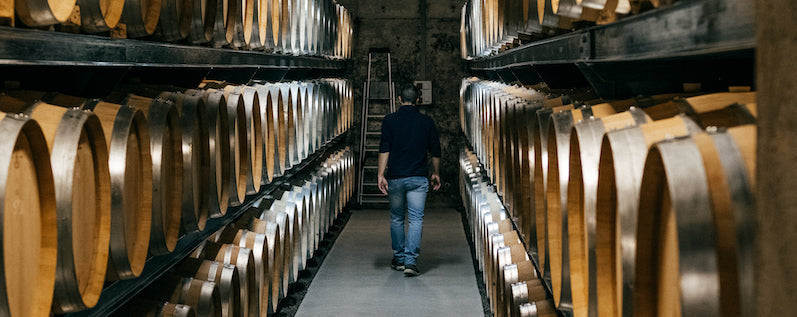 Tout savoir sur les vins du Jura : l’originalité d’un terroir d’exception
