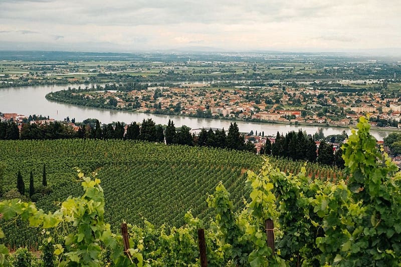 Pourquoi adopter une vigne dans le Rhône ?