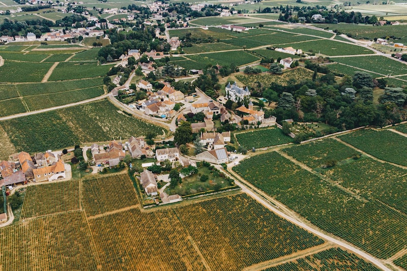 Tout savoir sur l'appellation Mercurey