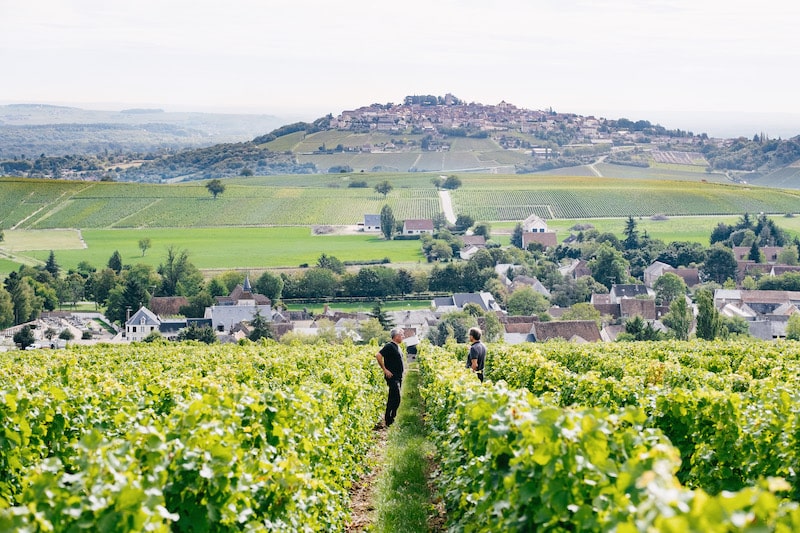 Tout savoir sur l'appellation Sancerre