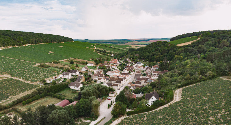 Tout savoir sur le vignoble de Chablis