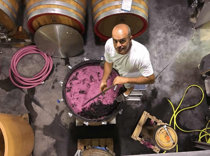 Tout savoir sur la vinification des vins par couleur