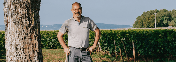 Bourgogne Blanc 2023