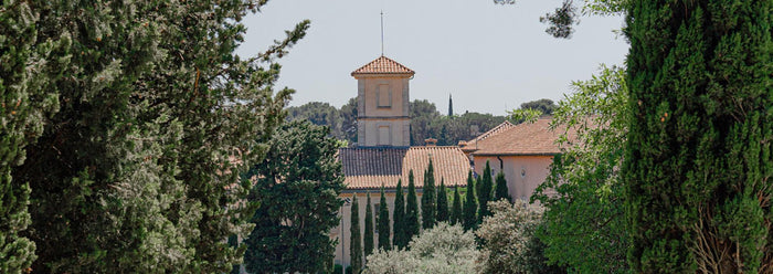 Châteauneuf-du-Pape "Clos du Roi" 2021