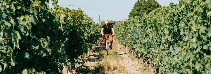 Chinon blanc 2025