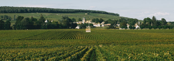 Volnay