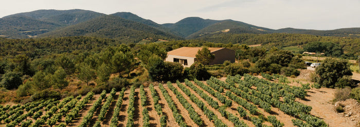 Saint-Chinian