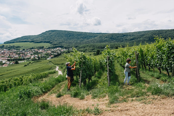 Riesling Grand Cru 2022
