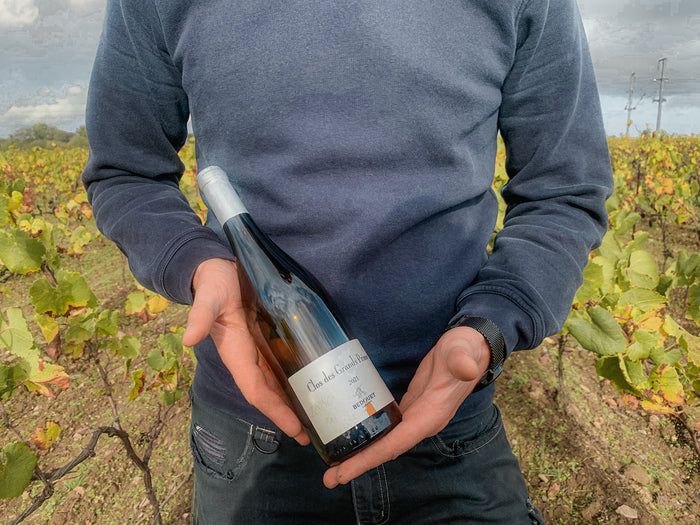 Muscadet