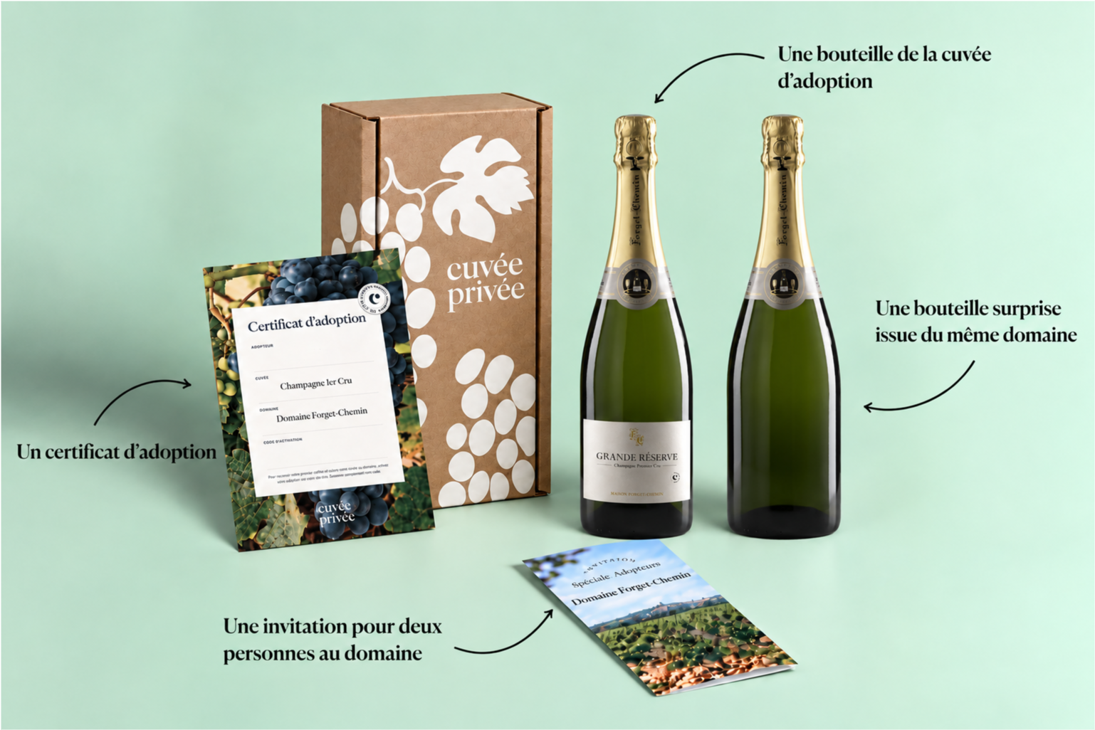 Colis de bienvenue Champagne 1er cru