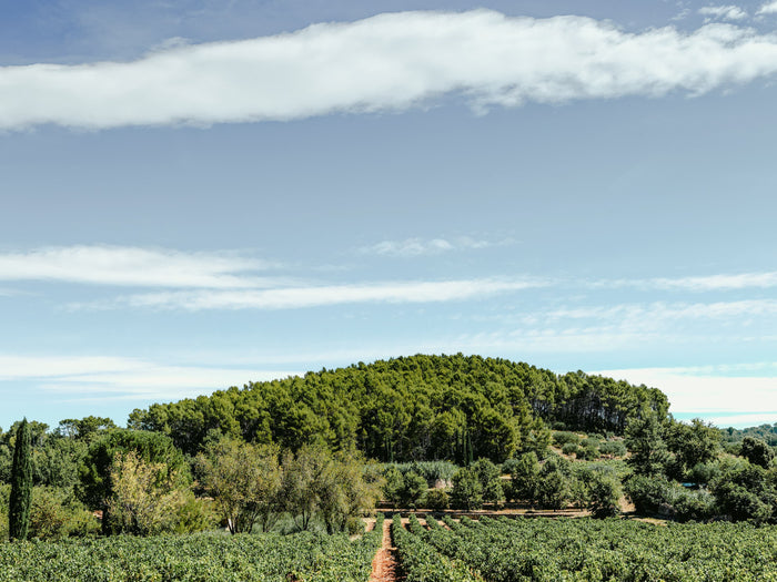 Côtes-de-Provence