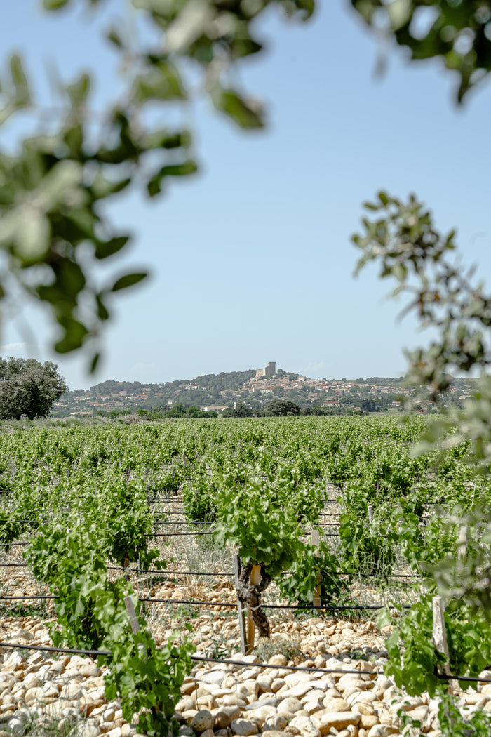 Châteauneuf-du-Pape