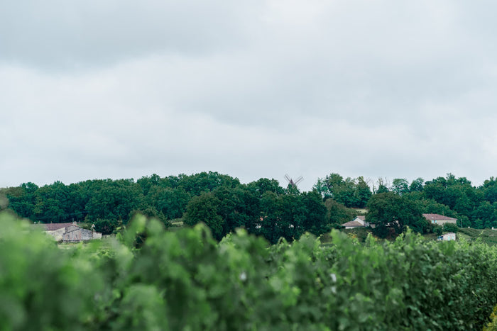 Montagne-Saint-Emilion