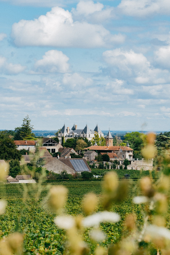 Mercurey 1er cru