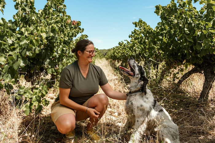 Coteaux d'Aix-en-Provence rouge "La Griffe" 2024