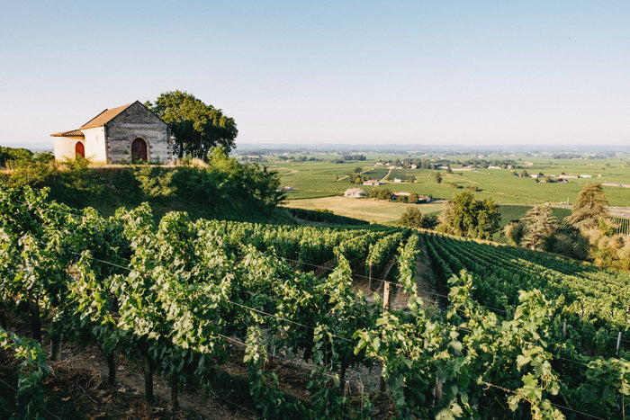 Saint-Emilion Grand Cru Classé 2021