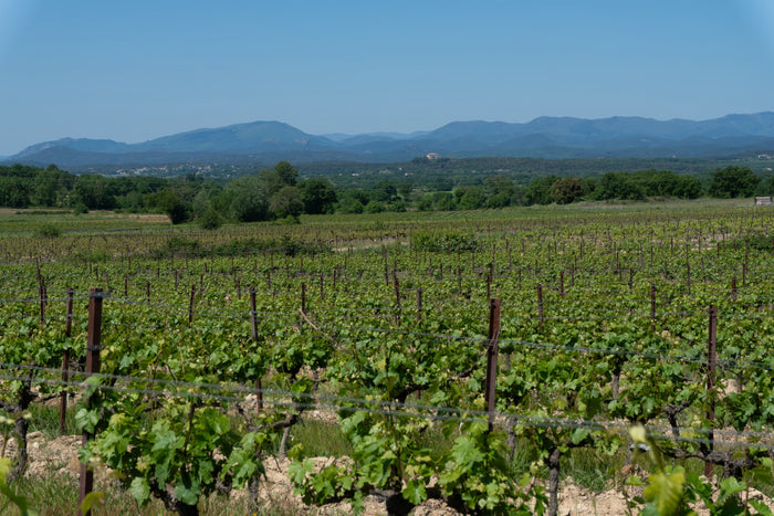 Cévennes blanc Triptyque 2023