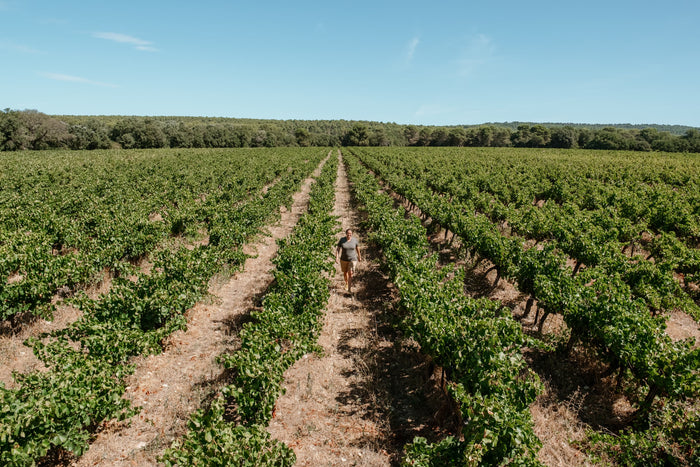 Coteaux d'Aix-en-Provence 2023