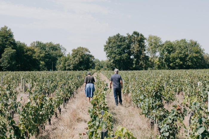Saint-Emilion Grand Cru La Grezolle 2021