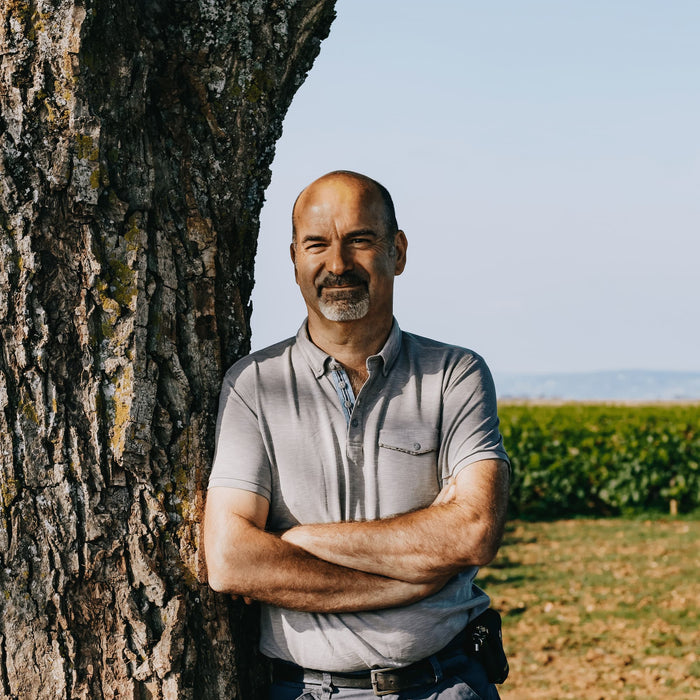 Côte de Nuits-Villages