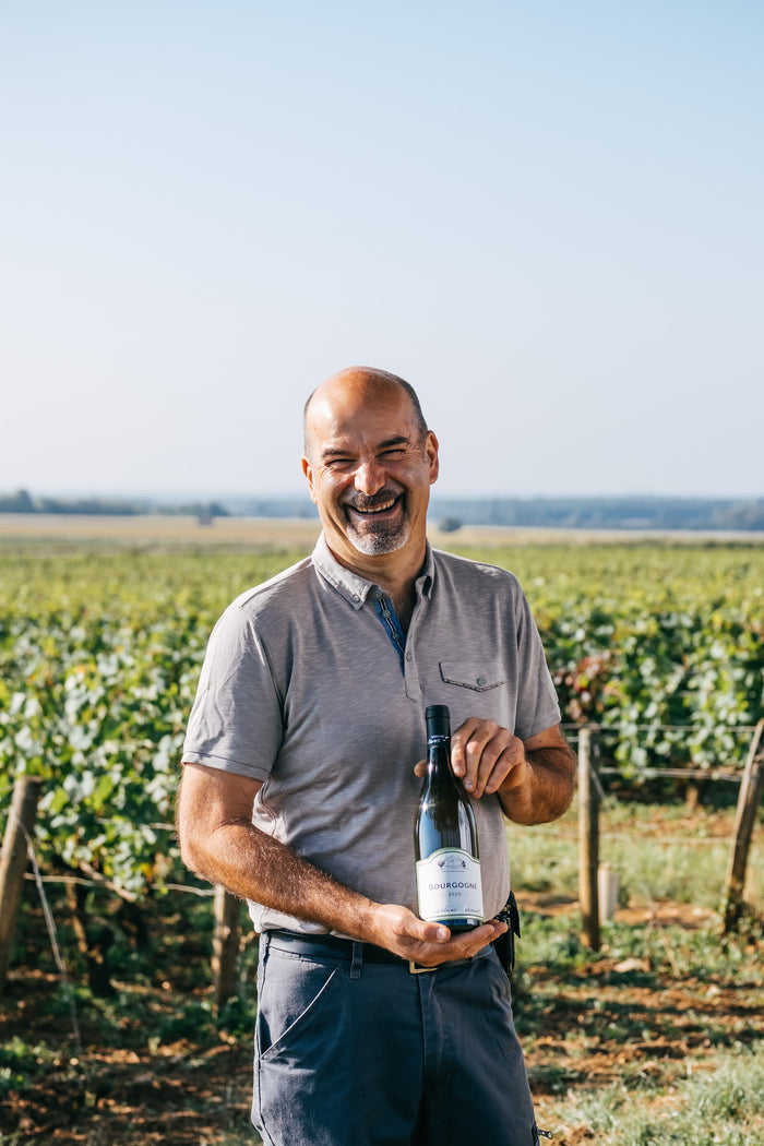 Bourgogne Blanc
