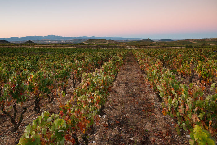Rioja 2021