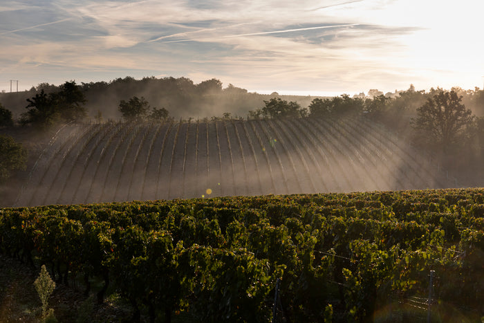 Cahors La Roque 2023