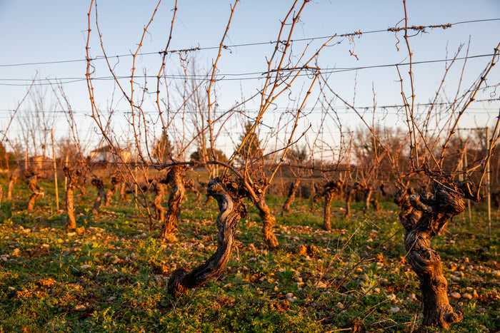 Cahors La Roque 2023