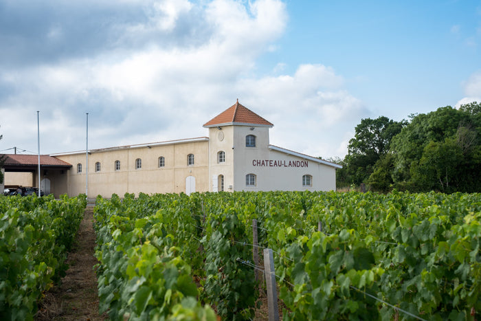 Médoc Cru Bourgeois Vieux Landon 2015