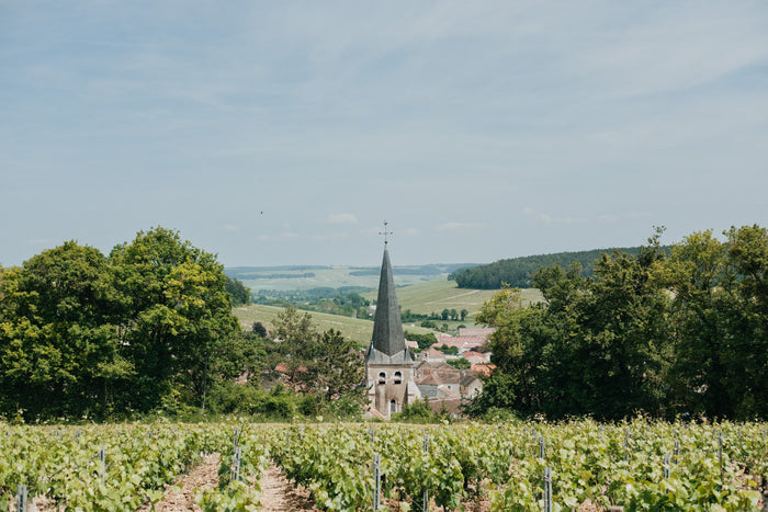 Chablis 1er cru Vau Ligneau