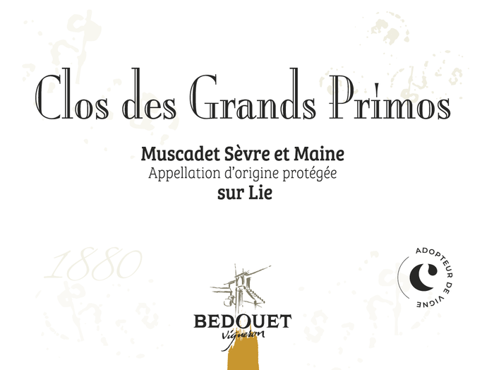 Adoptez une vigne avec Antonin au Domaine Bedouet