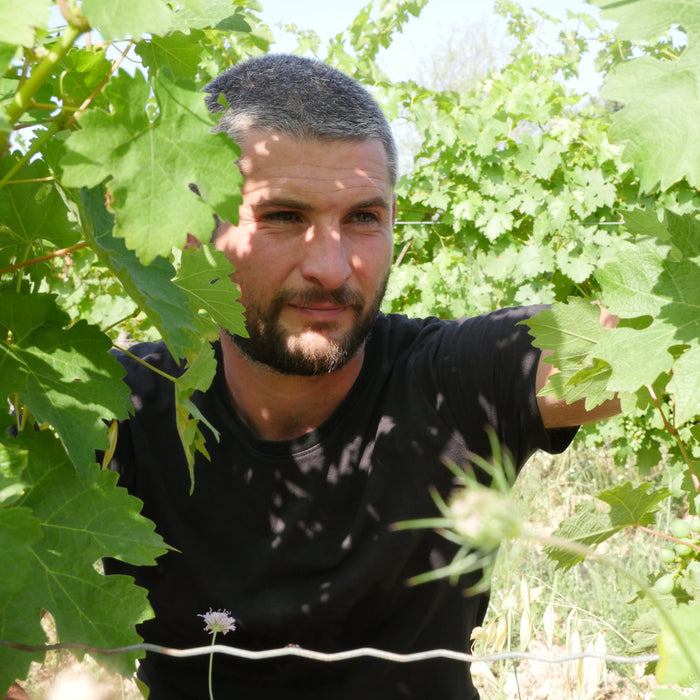 Cévennes blanc