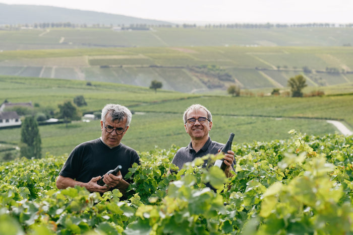 Sancerre 2025