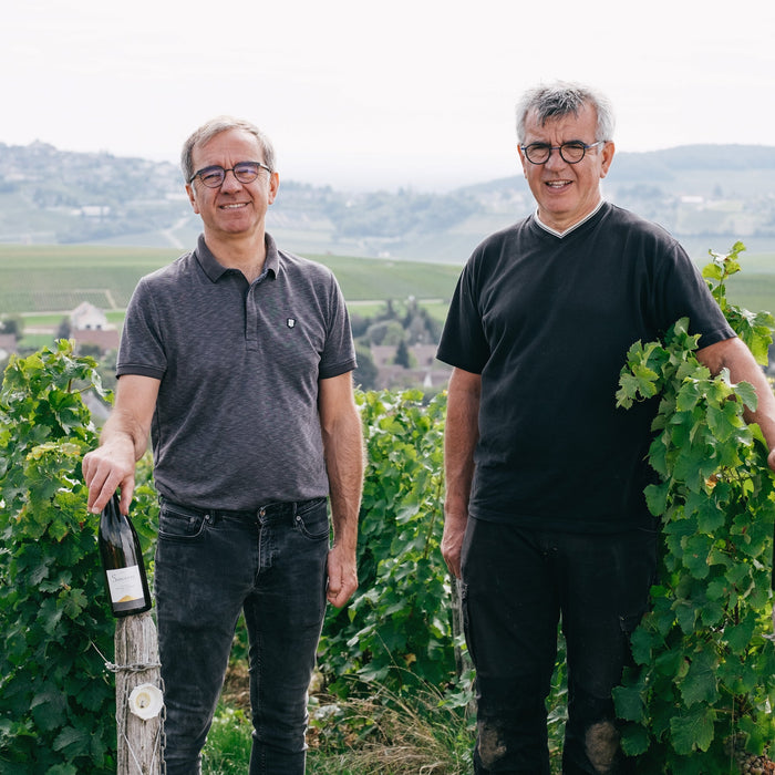 Sancerre