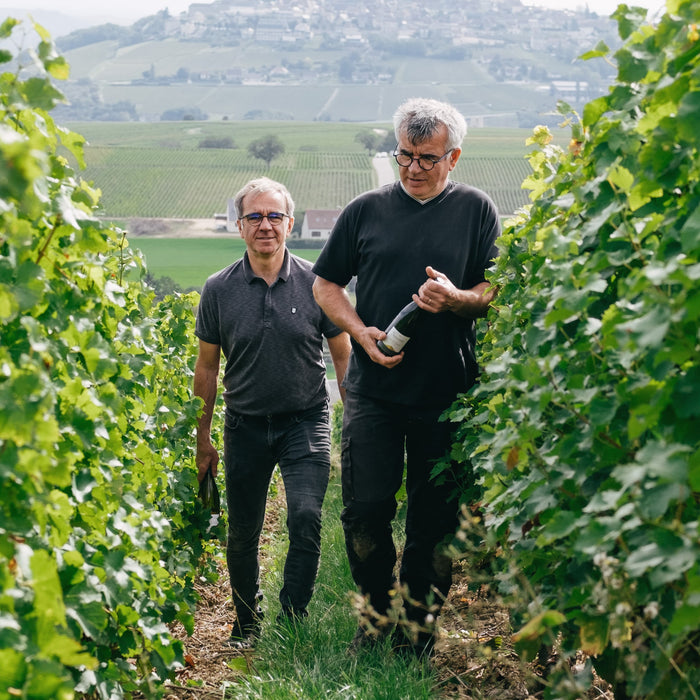 Sancerre