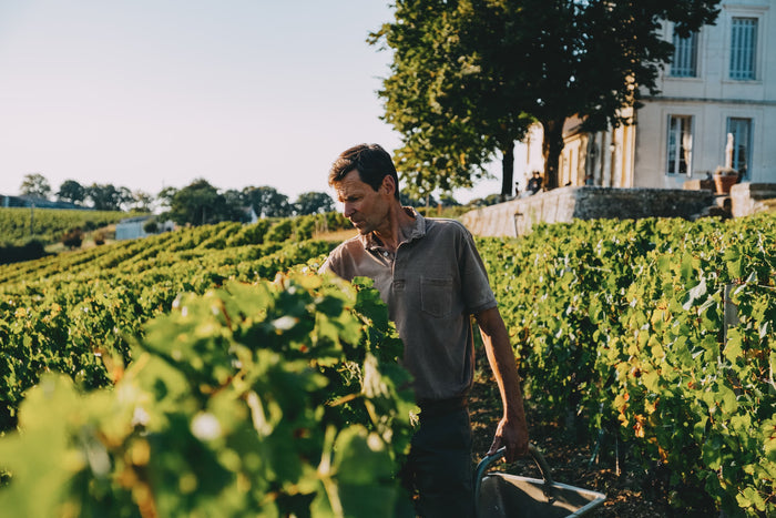 Saint-Emilion Grand Cru Château La Révérence 2024