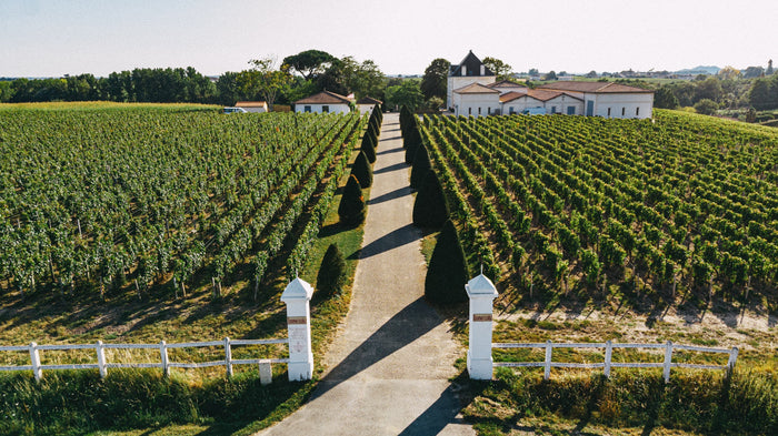 Saint-Emilion Grand Cru Château La Révérence 2024